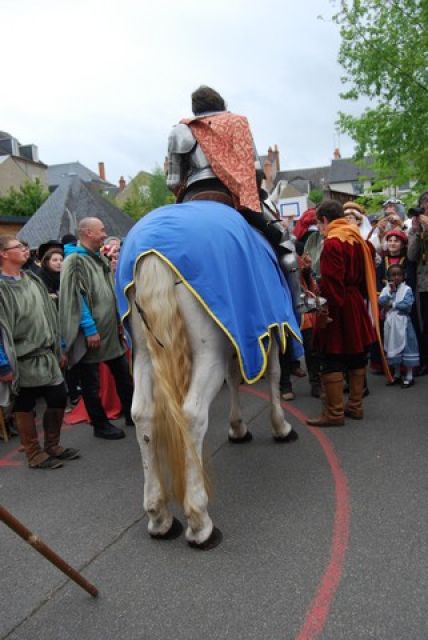 Orelans 8 mai 2014 (120).jpg